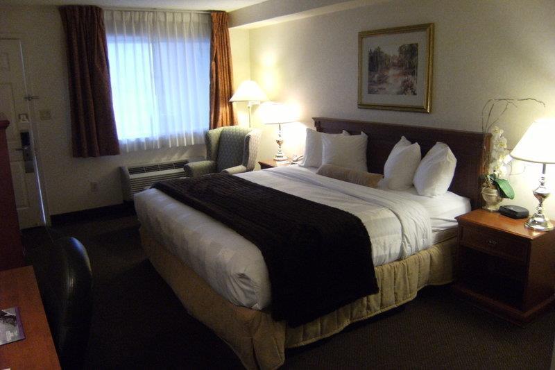 Best Western Halton Hills Georgetown Værelse billede
